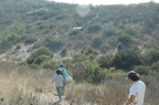 DSC_6596.JPG